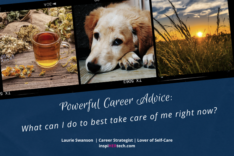 Dogs, Drama and Self-Care at Work