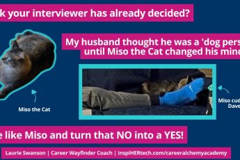 How to Use “Cat Energy” to Shift Interviewers to a YES Vibe