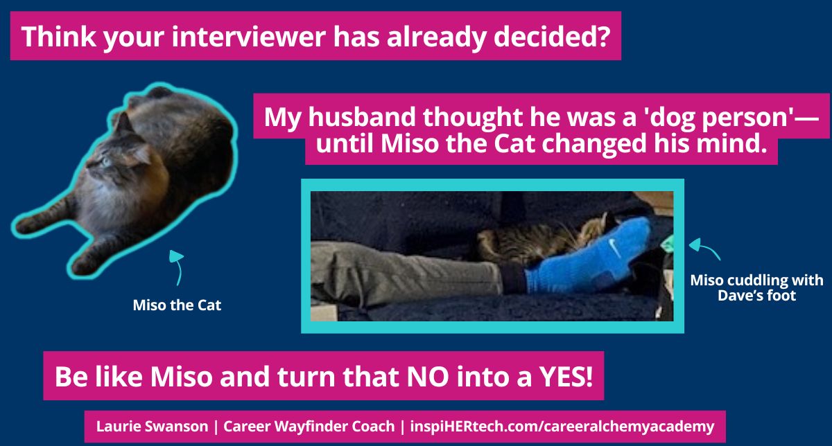 How to Use “Cat Energy” to Shift Interviewers to a YES Vibe